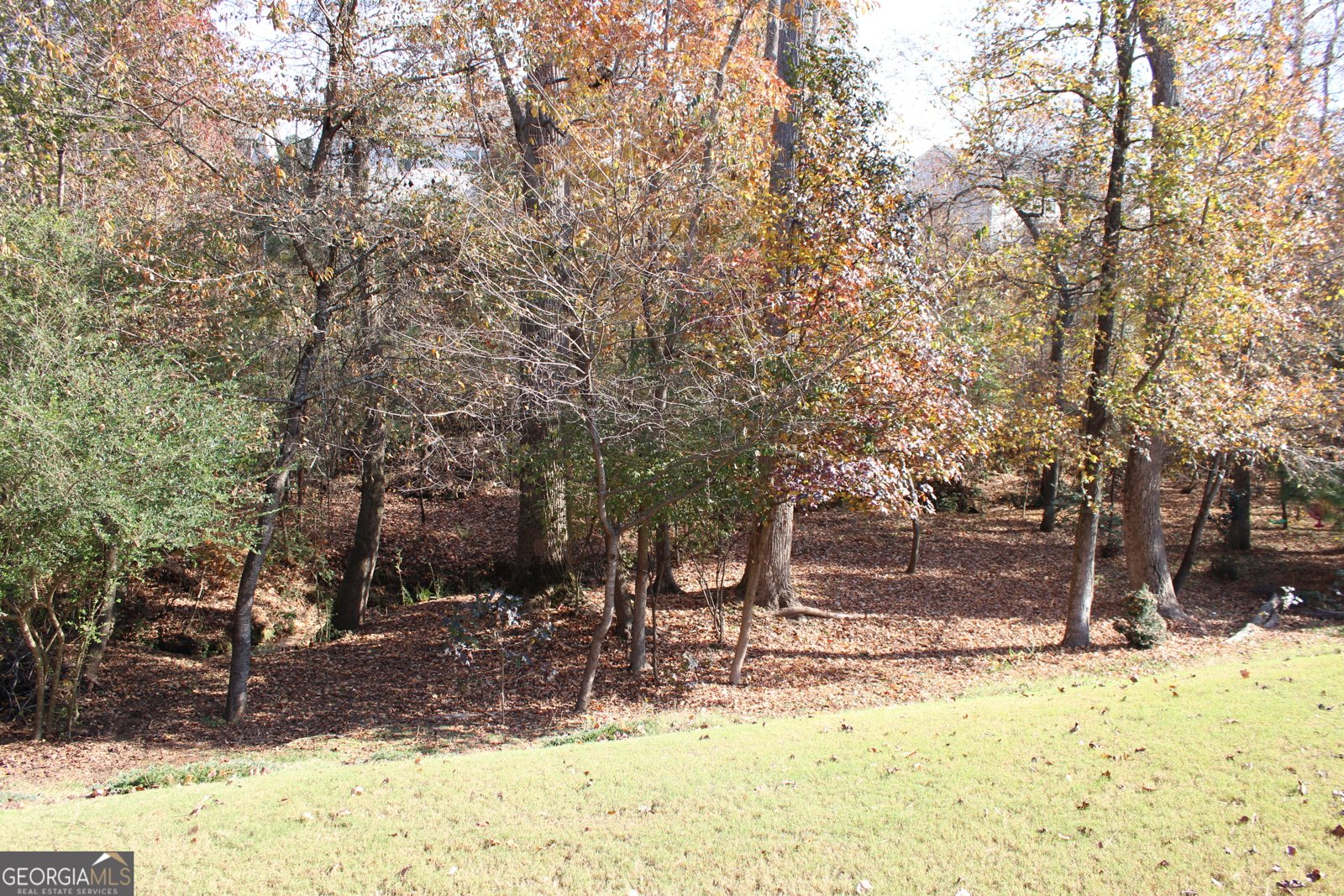 4380 Rockrose Green Way Gainesville - 65