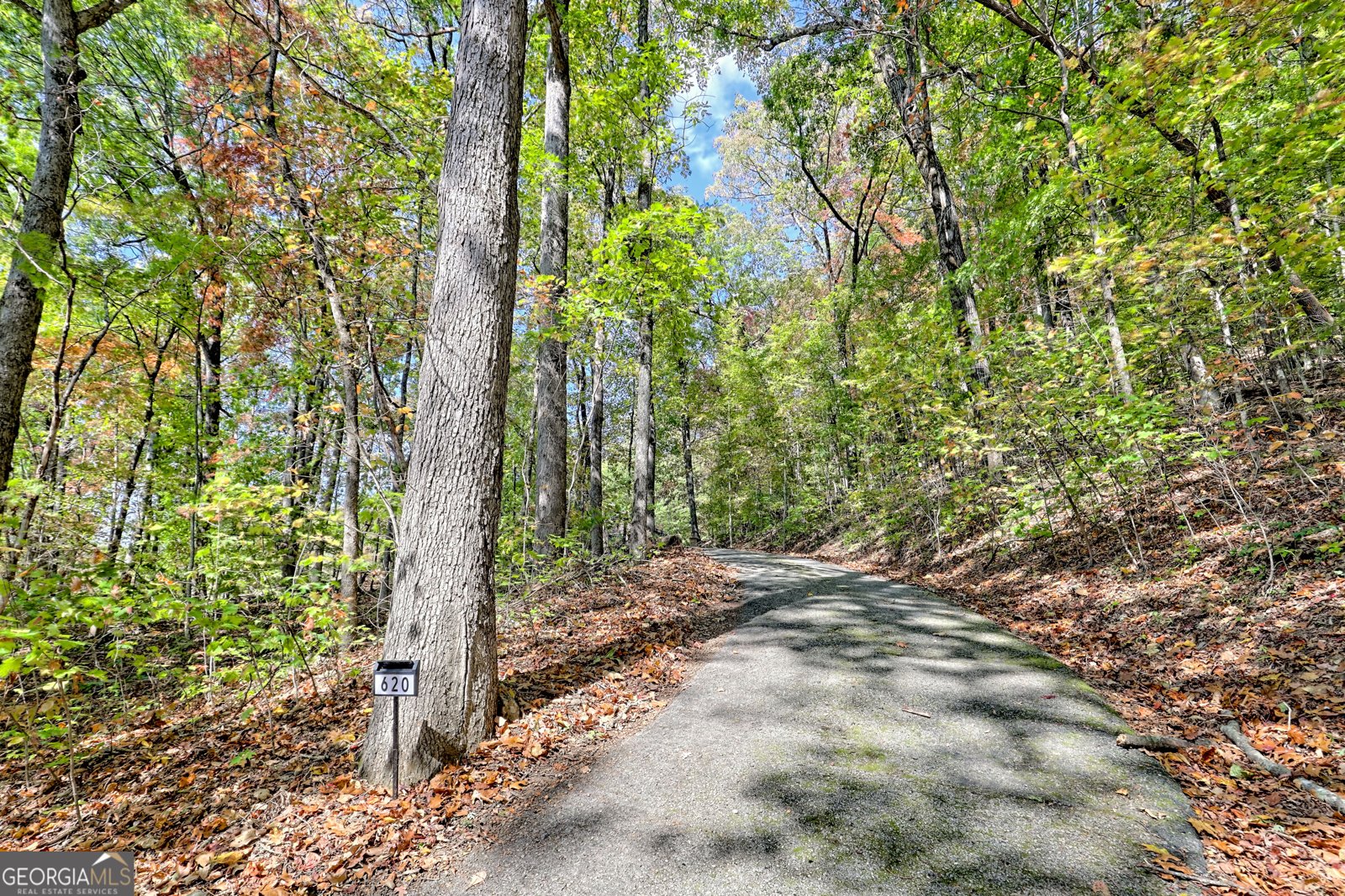 620 Falling Creek Trail Clayton - 13