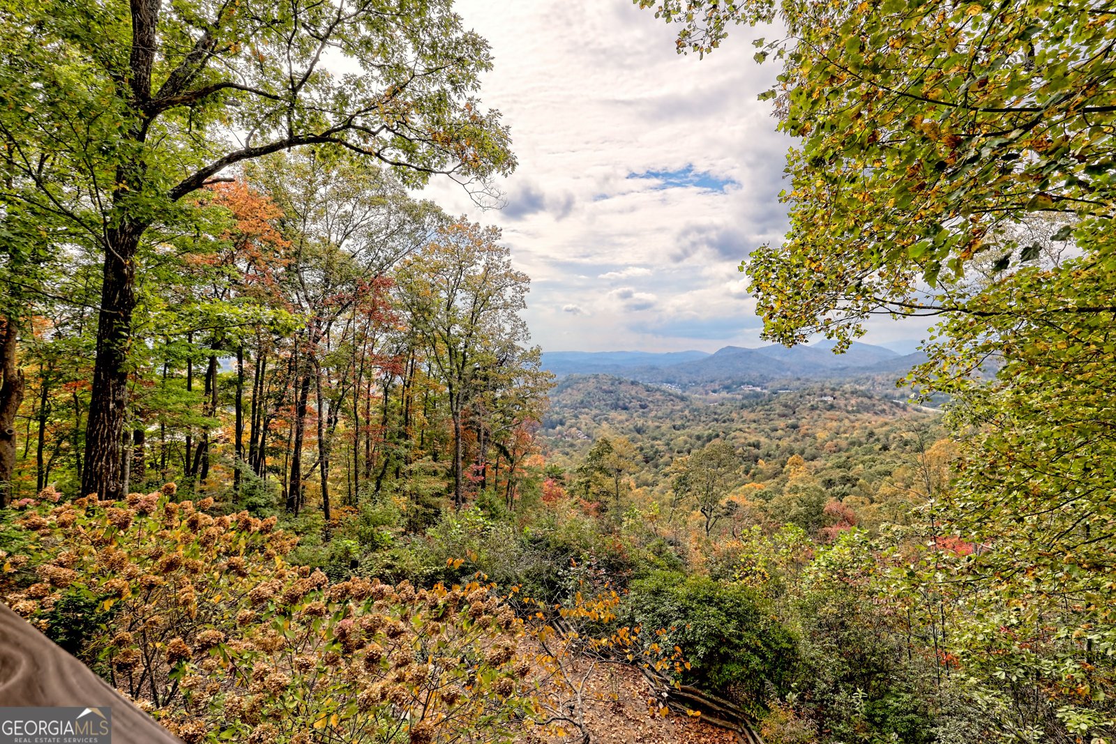 620 Falling Creek Trail Clayton - 47