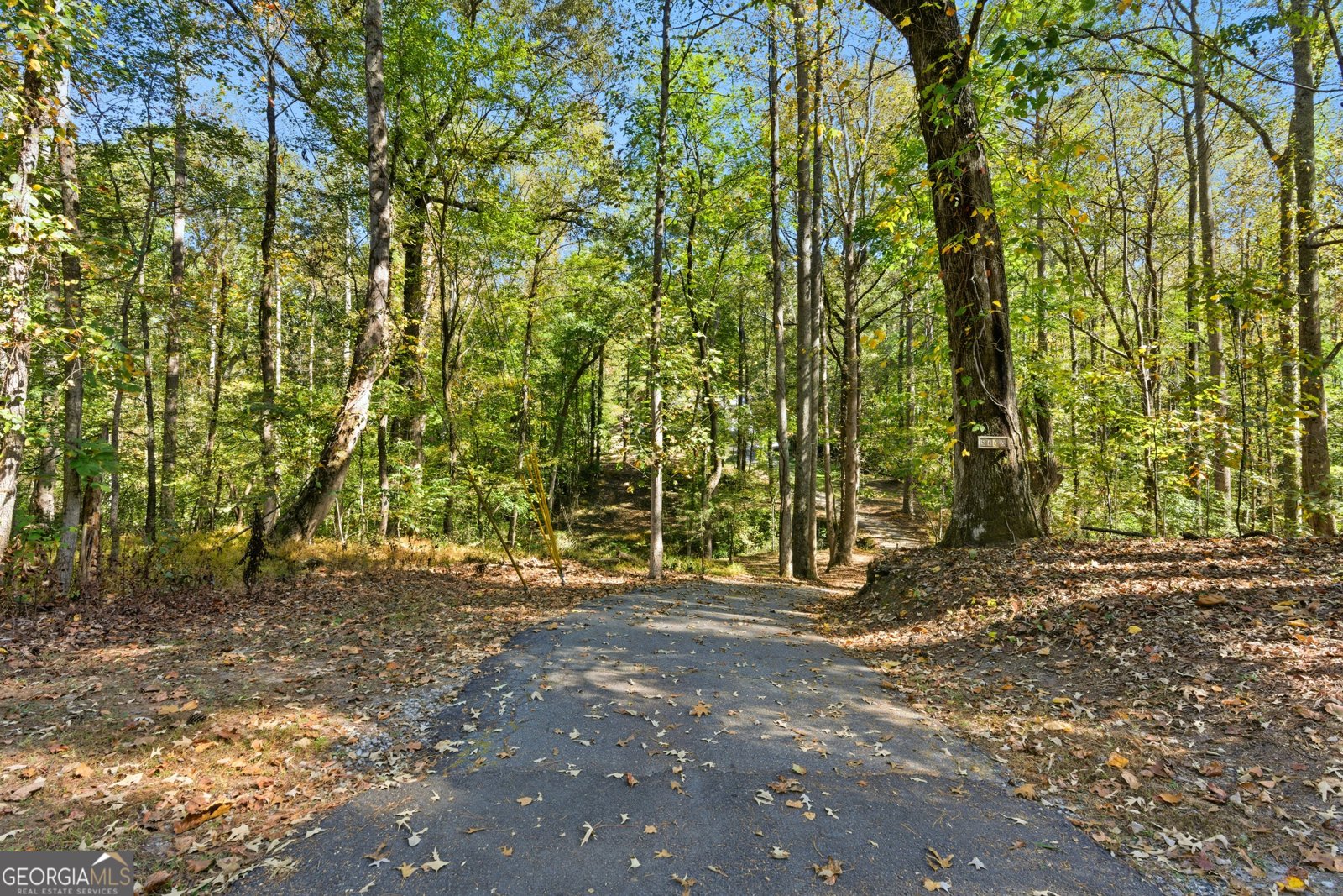 5430 Bethlehem Road Fairburn - 29