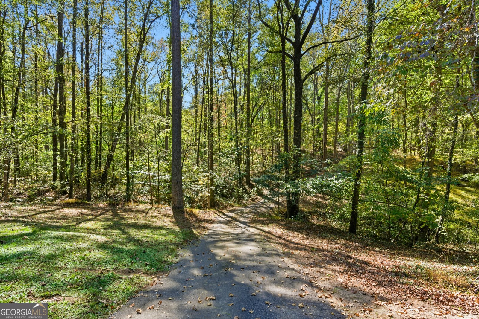 5430 Bethlehem Road Fairburn - 3