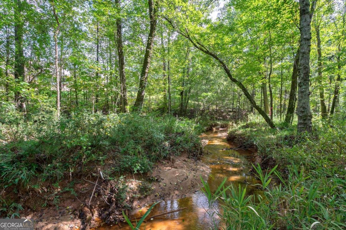 1275 Evergreen Park Statham - 1