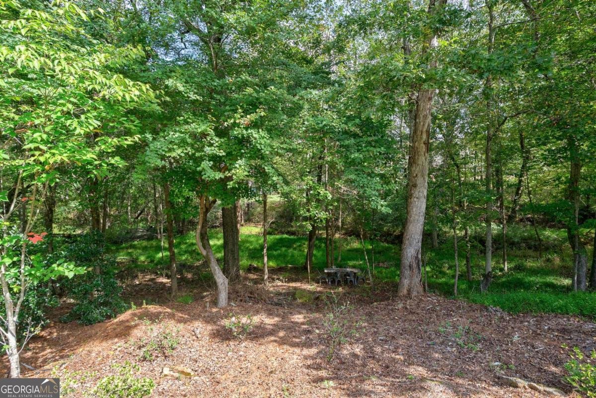 1275 Evergreen Park Statham - 60