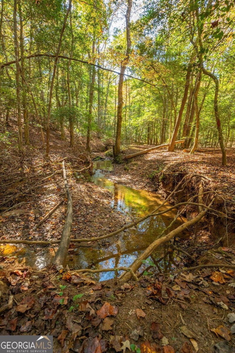 69 Blue Creek Cove Cleveland - 41