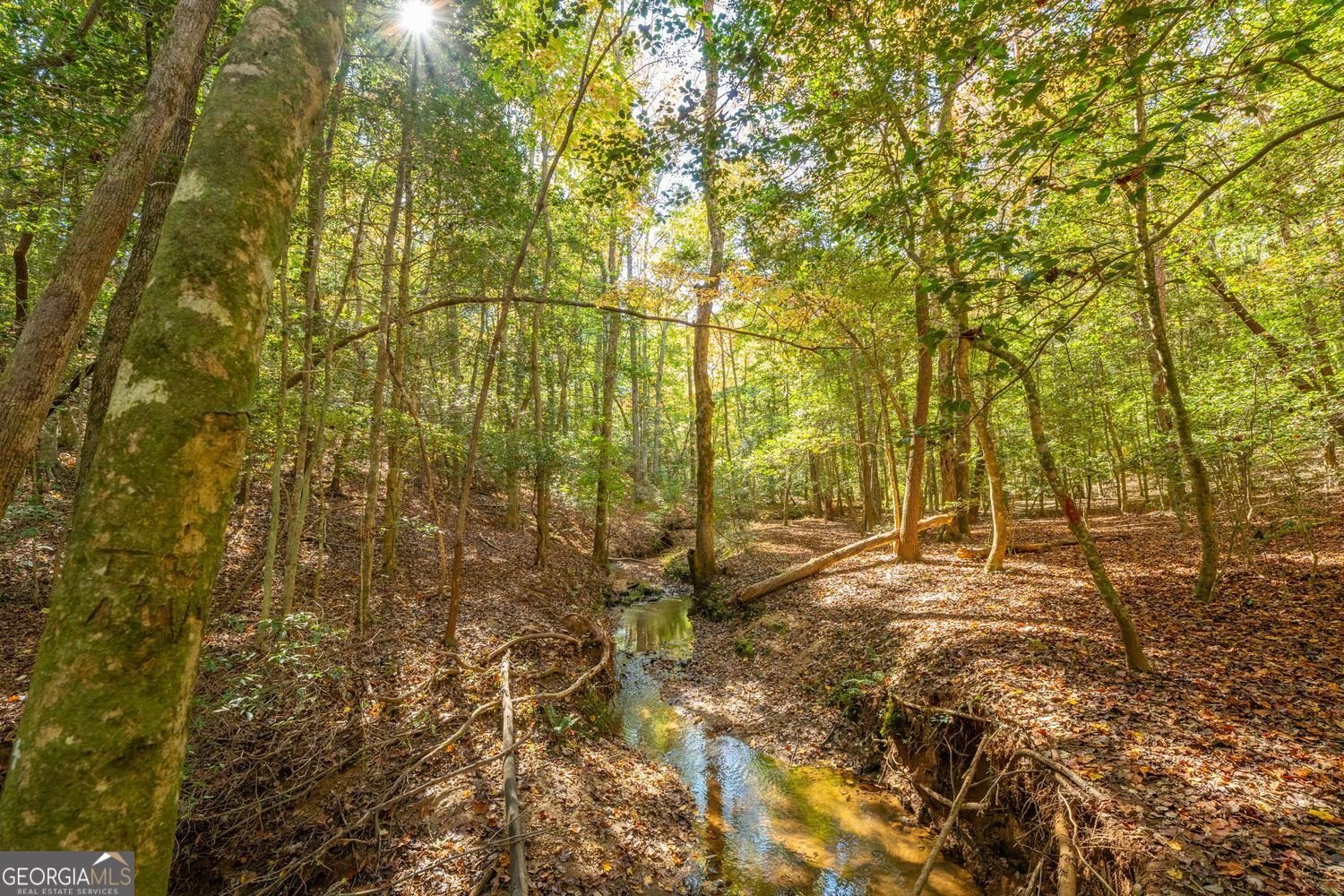 69 Blue Creek Cove Cleveland - 42