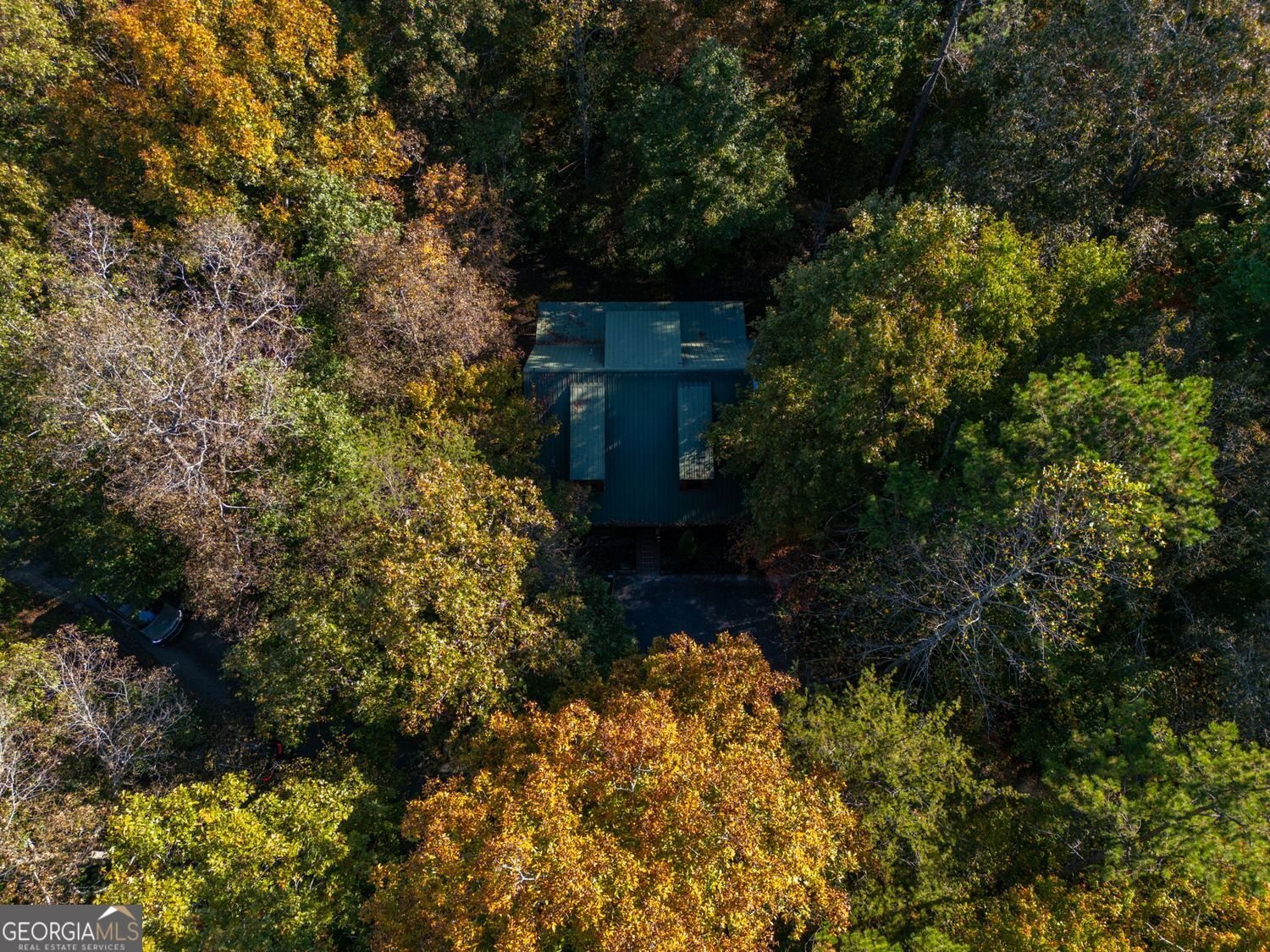 69 Blue Creek Cove Cleveland - 43