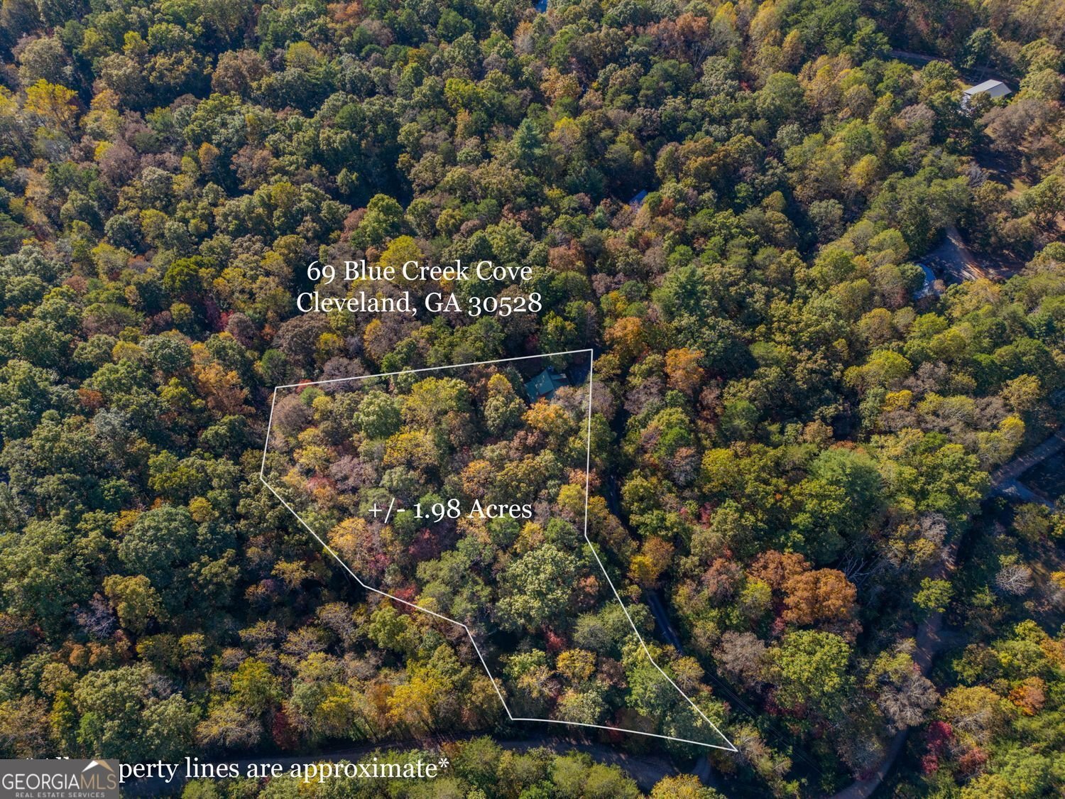 69 Blue Creek Cove Cleveland - 50