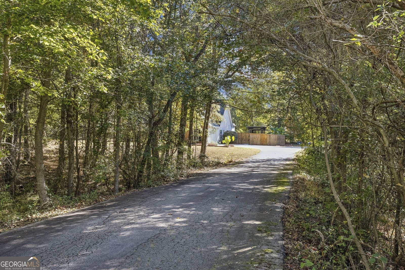 119 Summer Leigh Drive Stockbridge - 10