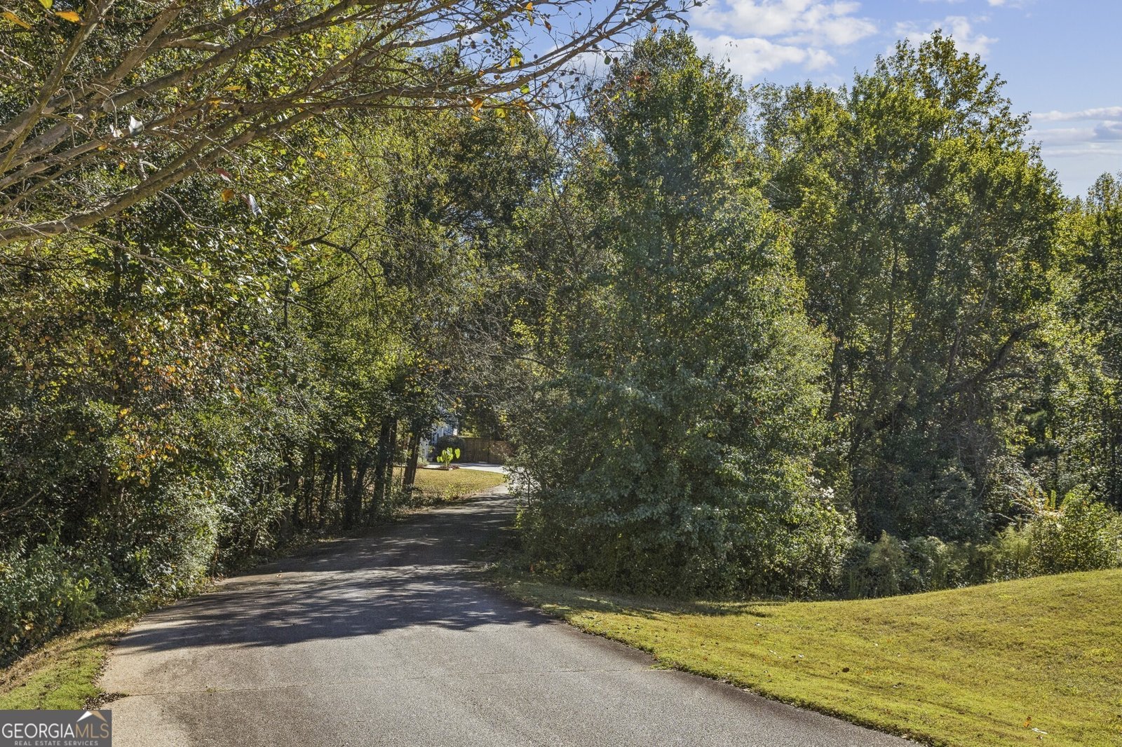 119 Summer Leigh Drive Stockbridge - 51