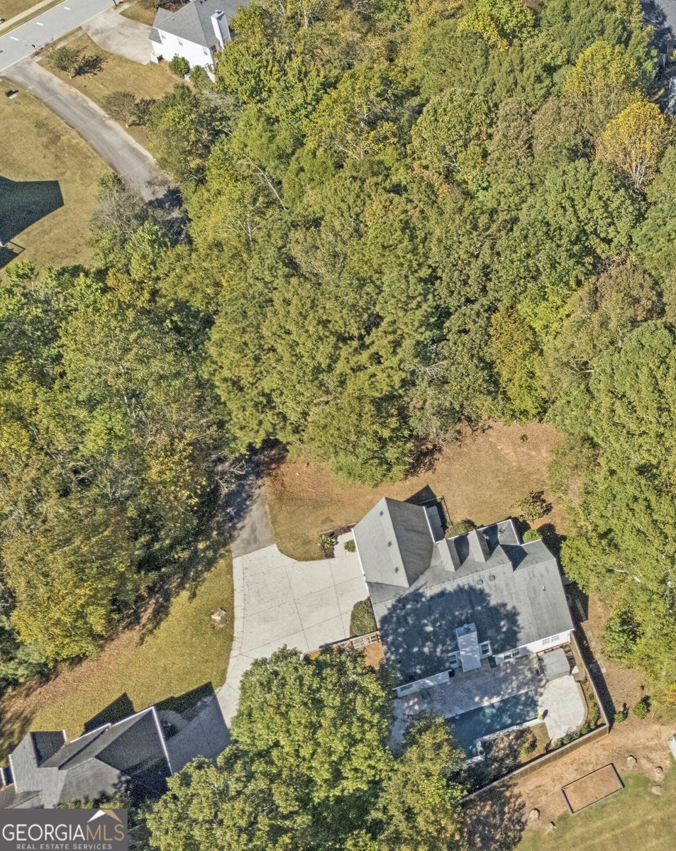 119 Summer Leigh Drive Stockbridge - 9