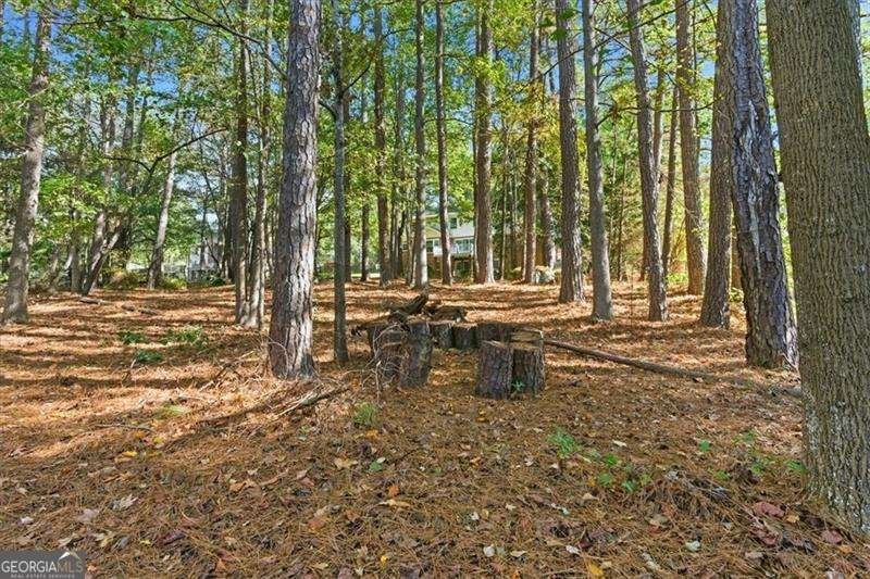 190 Willow Lake Lane Sharpsburg - 43