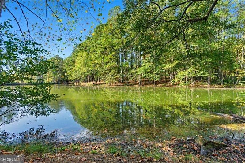 190 Willow Lake Lane Sharpsburg - 58