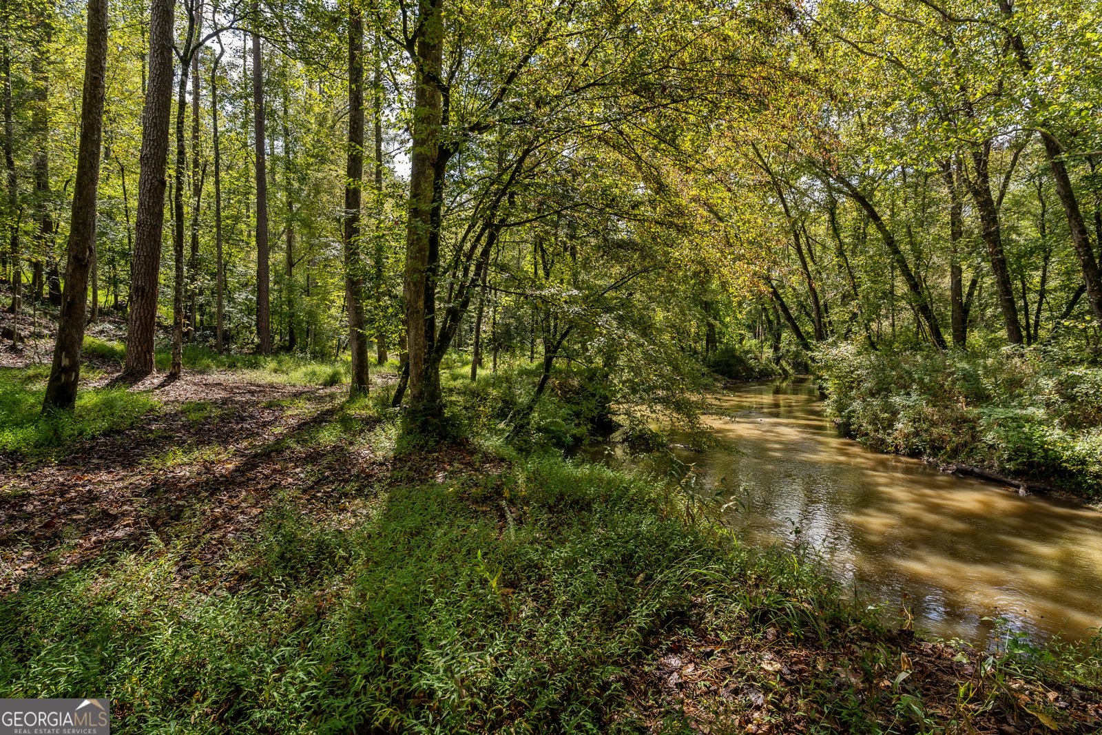 107 Cool Creek Trail Epworth - 51