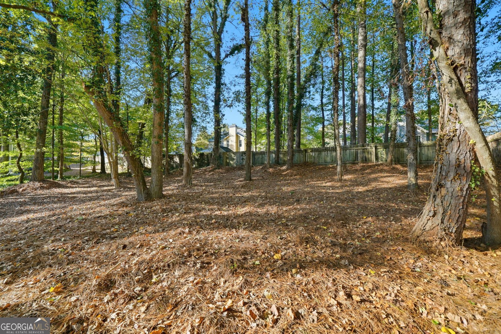 161 Red Oak Lane Alpharetta - 47