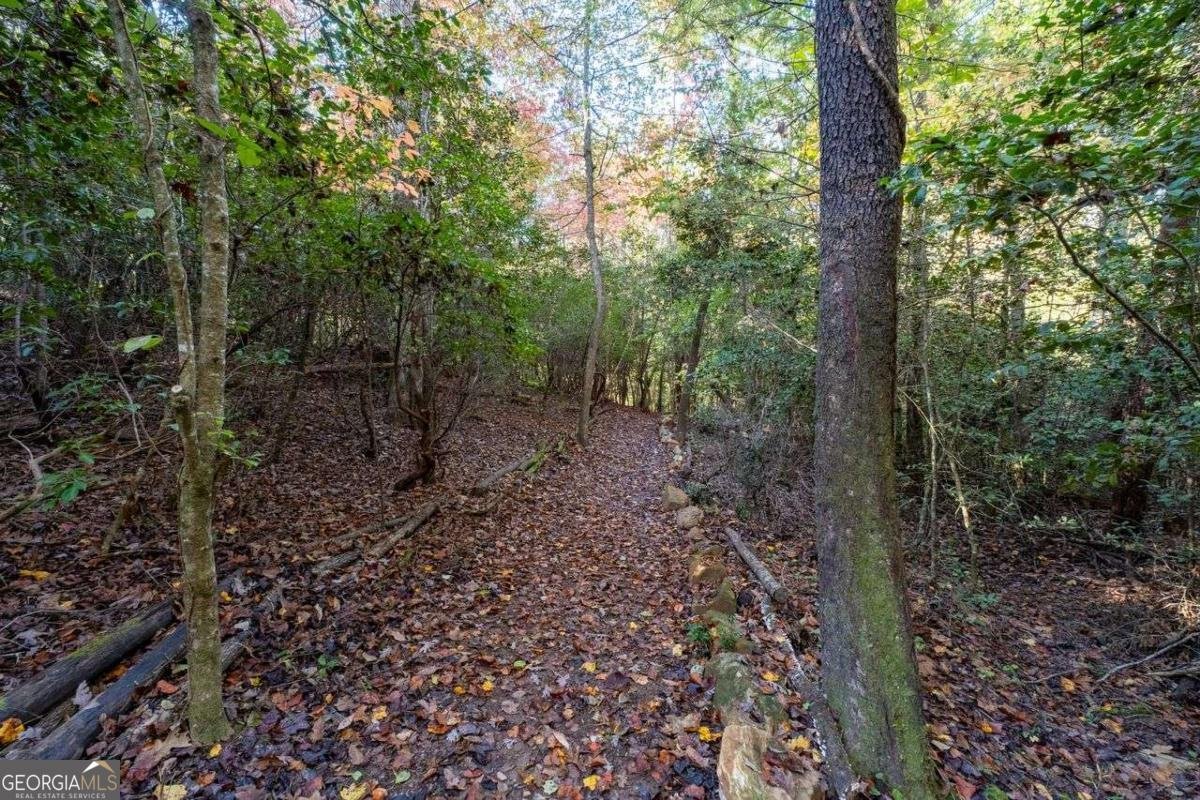 128 YOUNG DEER Drive Dahlonega - 35