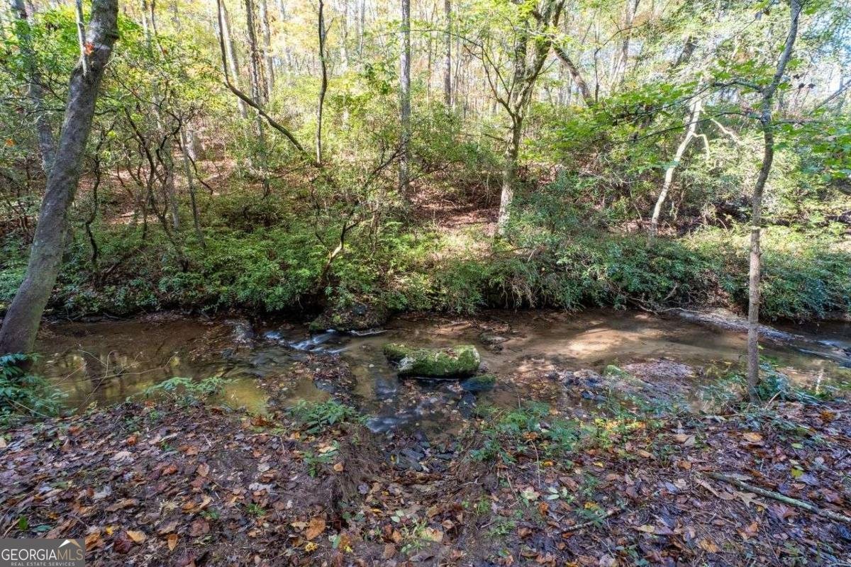 128 YOUNG DEER Drive Dahlonega - 36