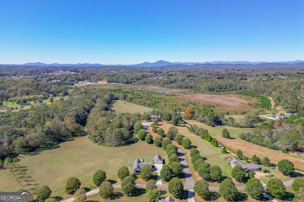 182 Farm Hill Drive Clarkesville - 30