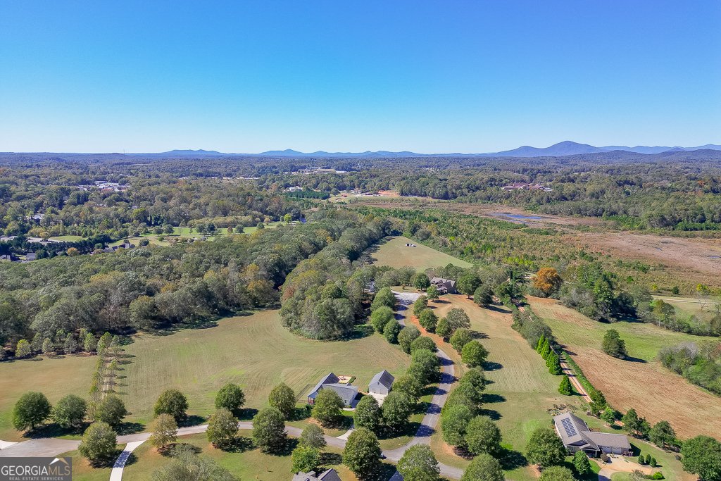 182 Farm Hill Drive Clarkesville - 31