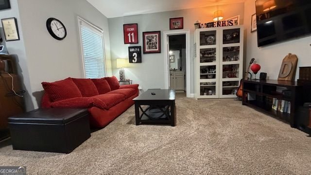 102 Carmichael Drive Canton - 25