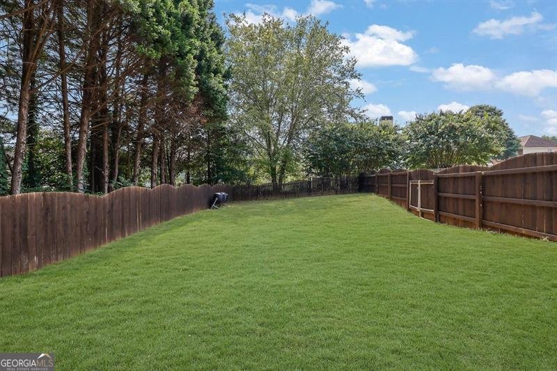 4001 Triton Ives Drive Buford - 45