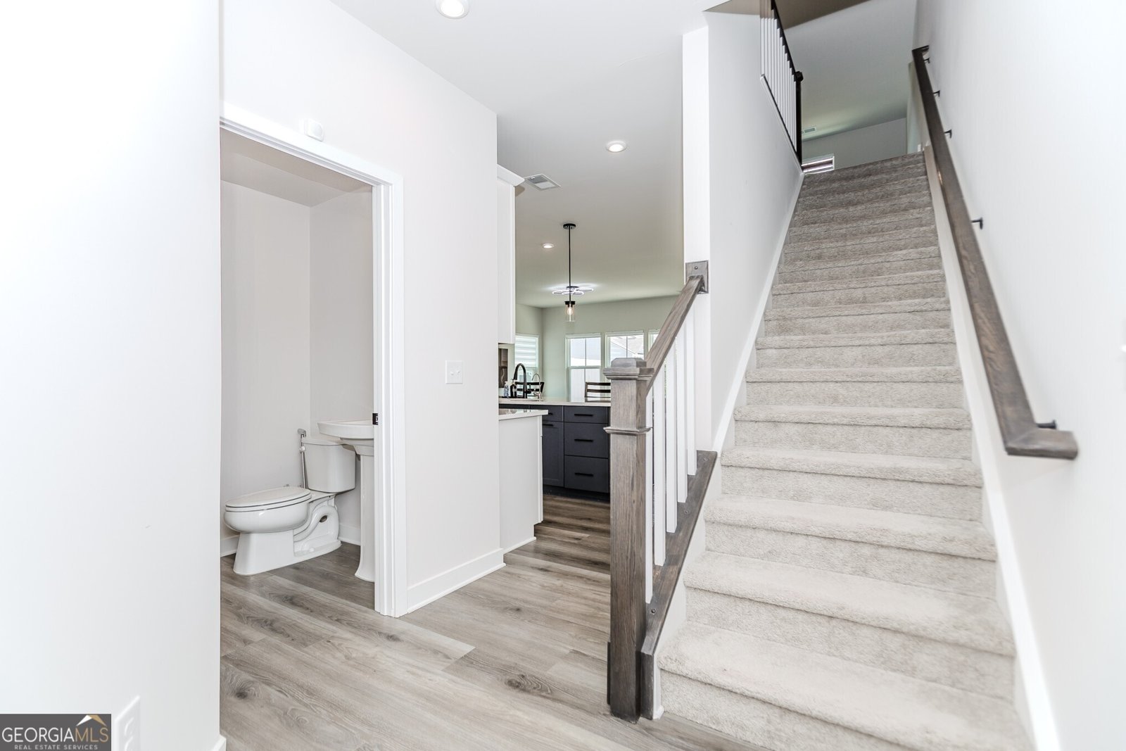 233 Salt Lake Lane Hoschton - 4