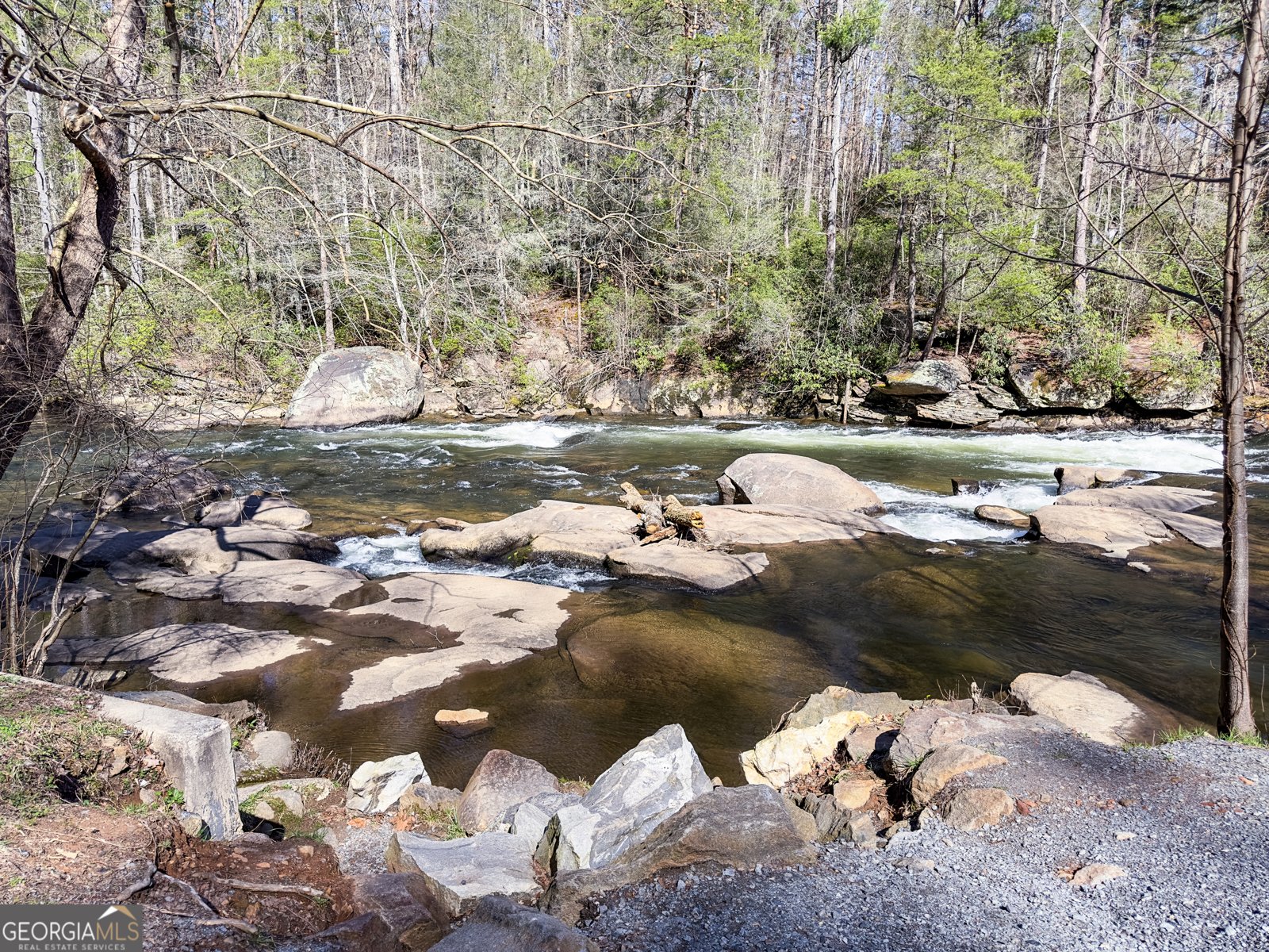 145 River Bend Lane Blue Ridge - 5