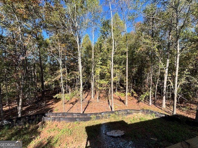 221 Summit View Drive McDonough - 7