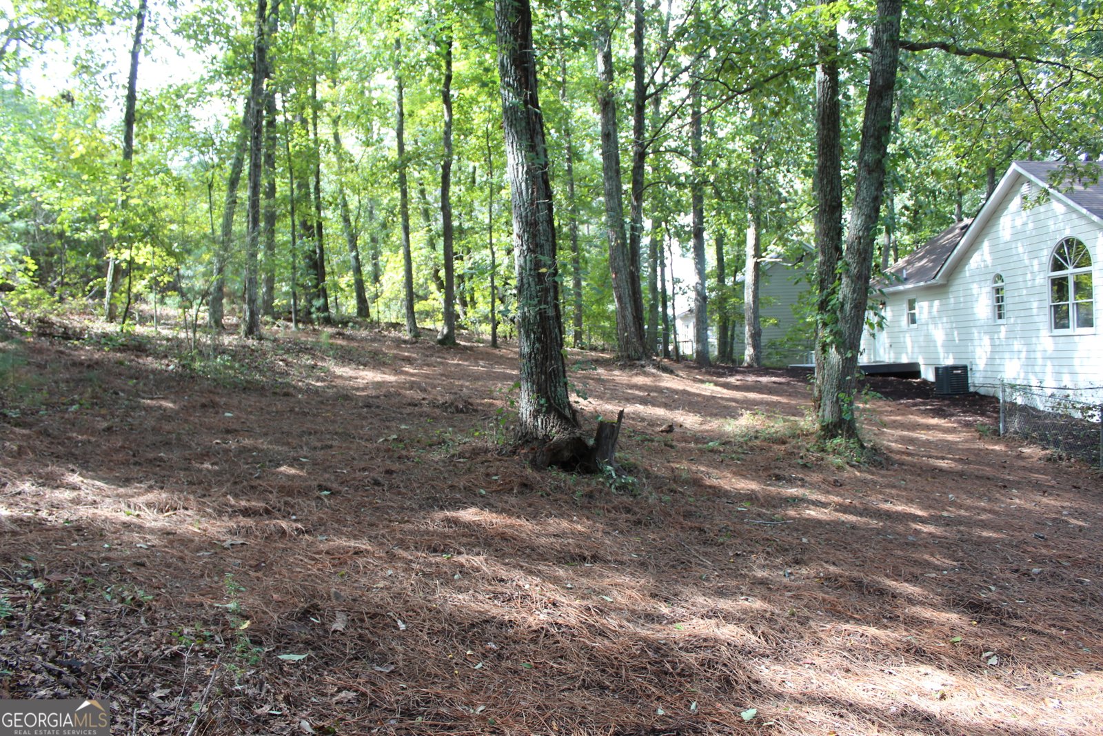 911 White Stag Lane Canton - 15