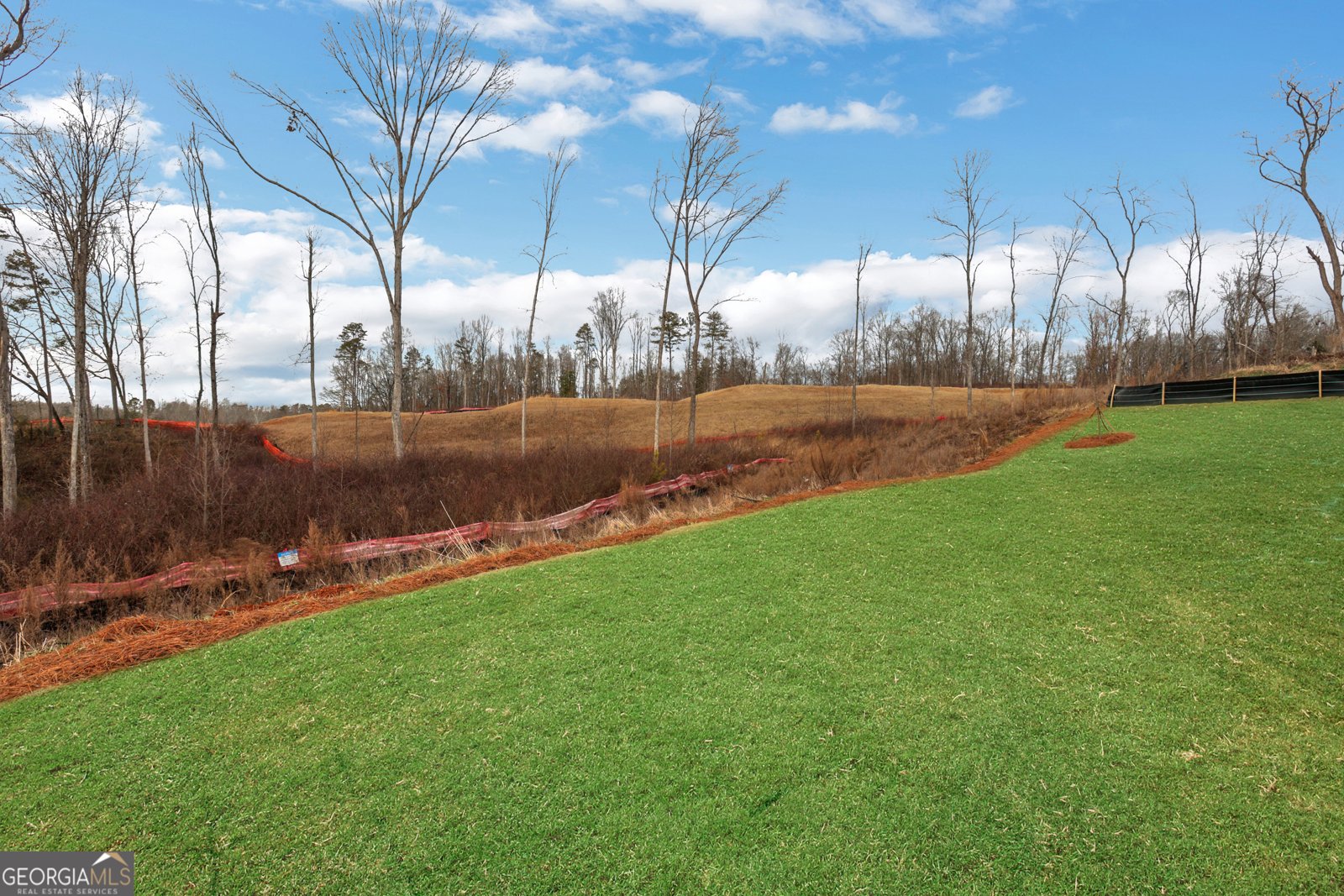 5940 Violet Lane Cumming - Photo 54