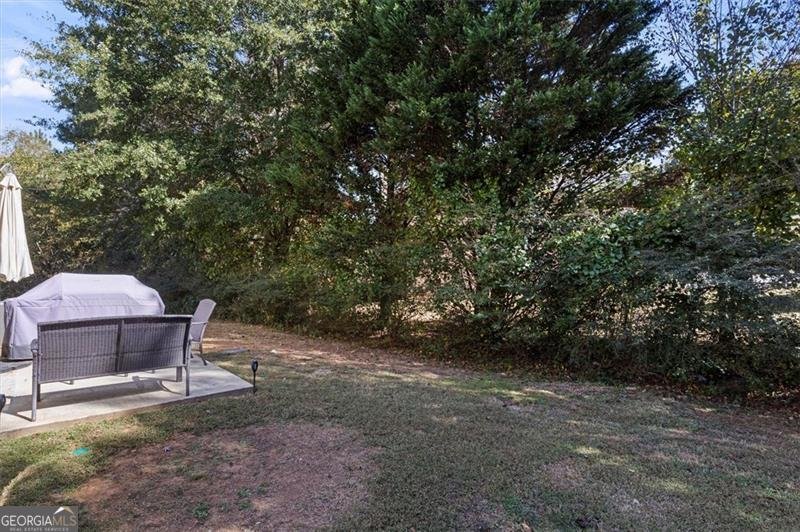 3820 Kings Bridge Drive Douglasville - 50