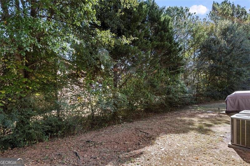 3820 Kings Bridge Drive Douglasville - 52