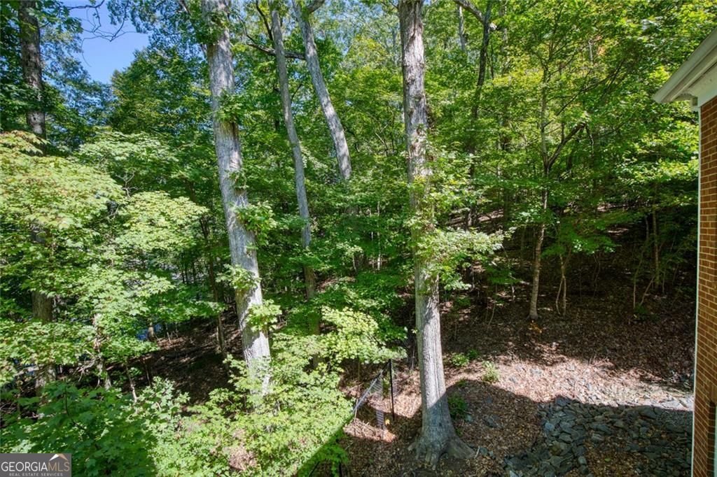 133 Brookview Circle Sandy Springs - 37