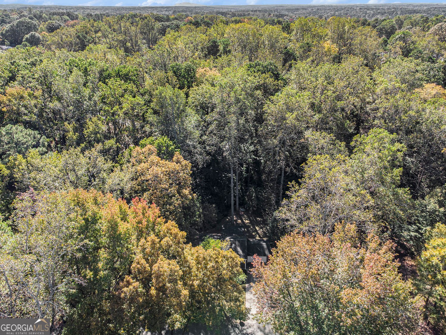 493 Rebecca Street Lawrenceville - 28