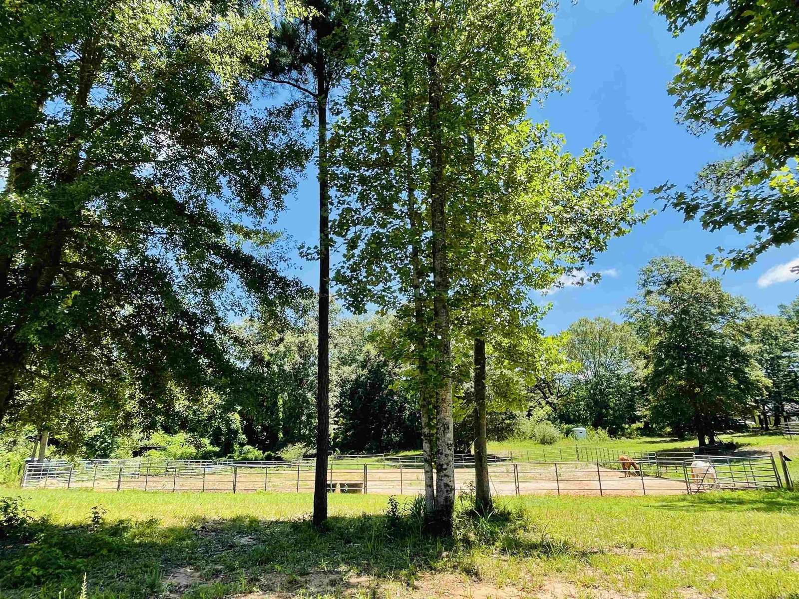 110 Kent Rock Road Loganville - Photo 20