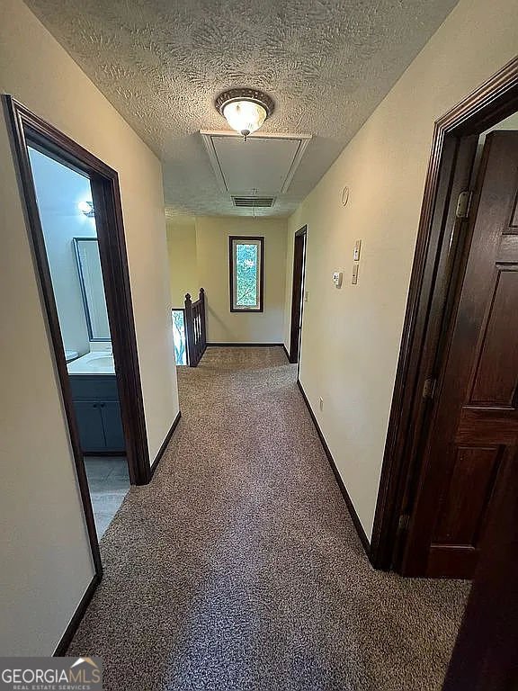 99 Indian Cove Drive Dawsonville - 21
