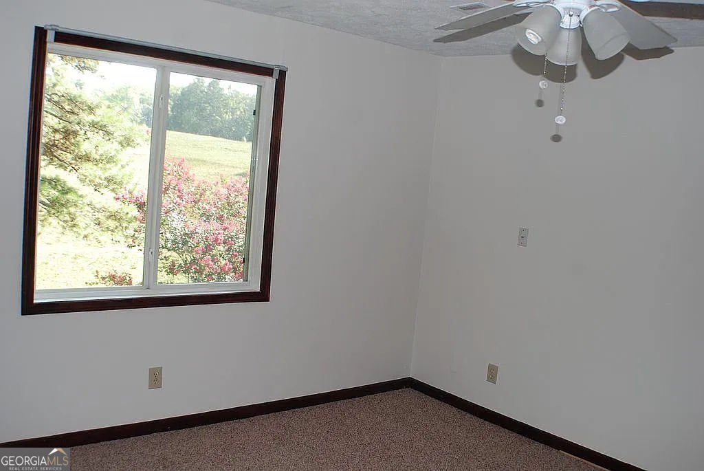 99 Indian Cove Drive Dawsonville - 29