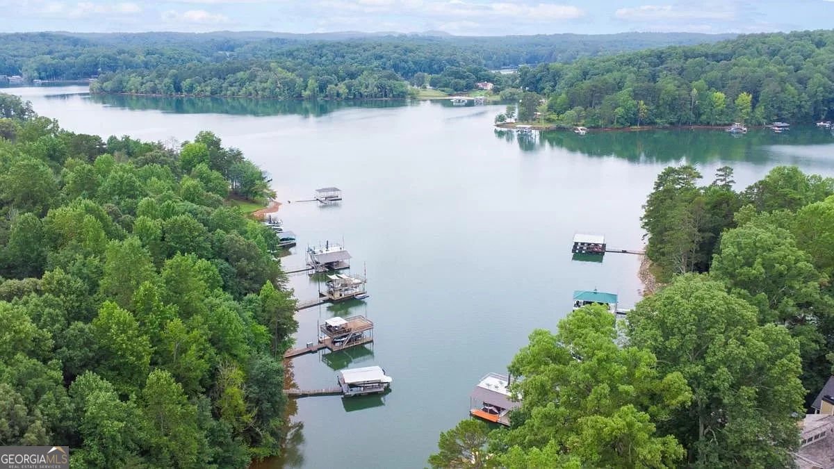 99 Indian Cove Drive Dawsonville - 33