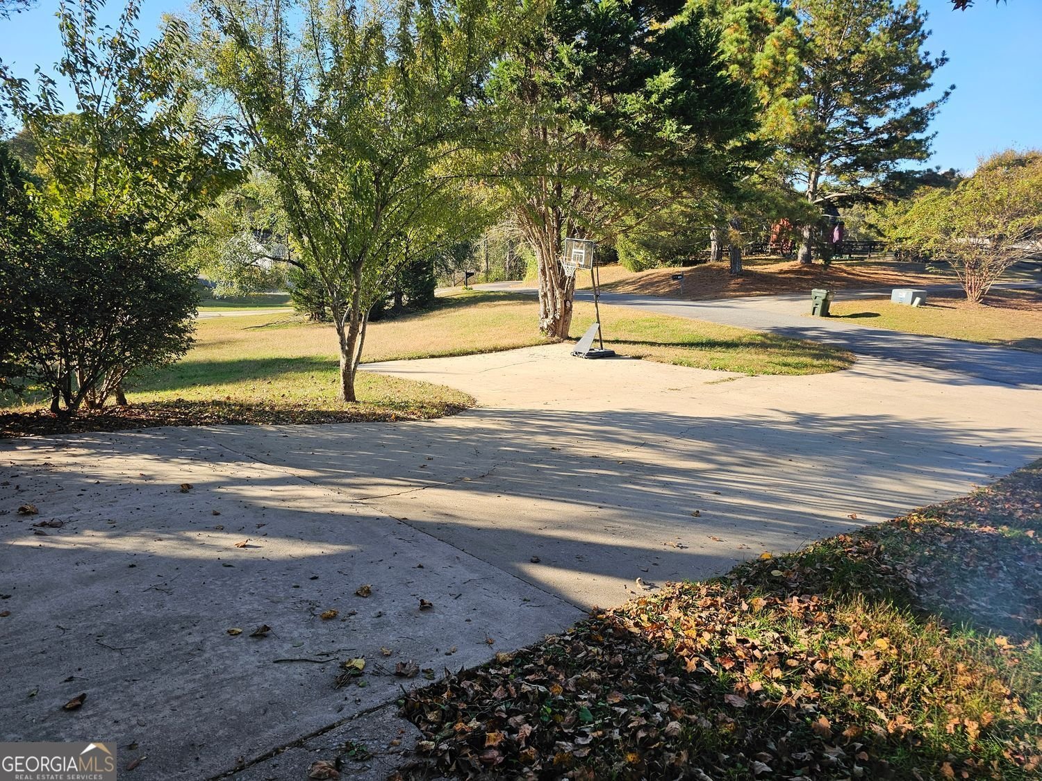 99 Indian Cove Drive Dawsonville - 4
