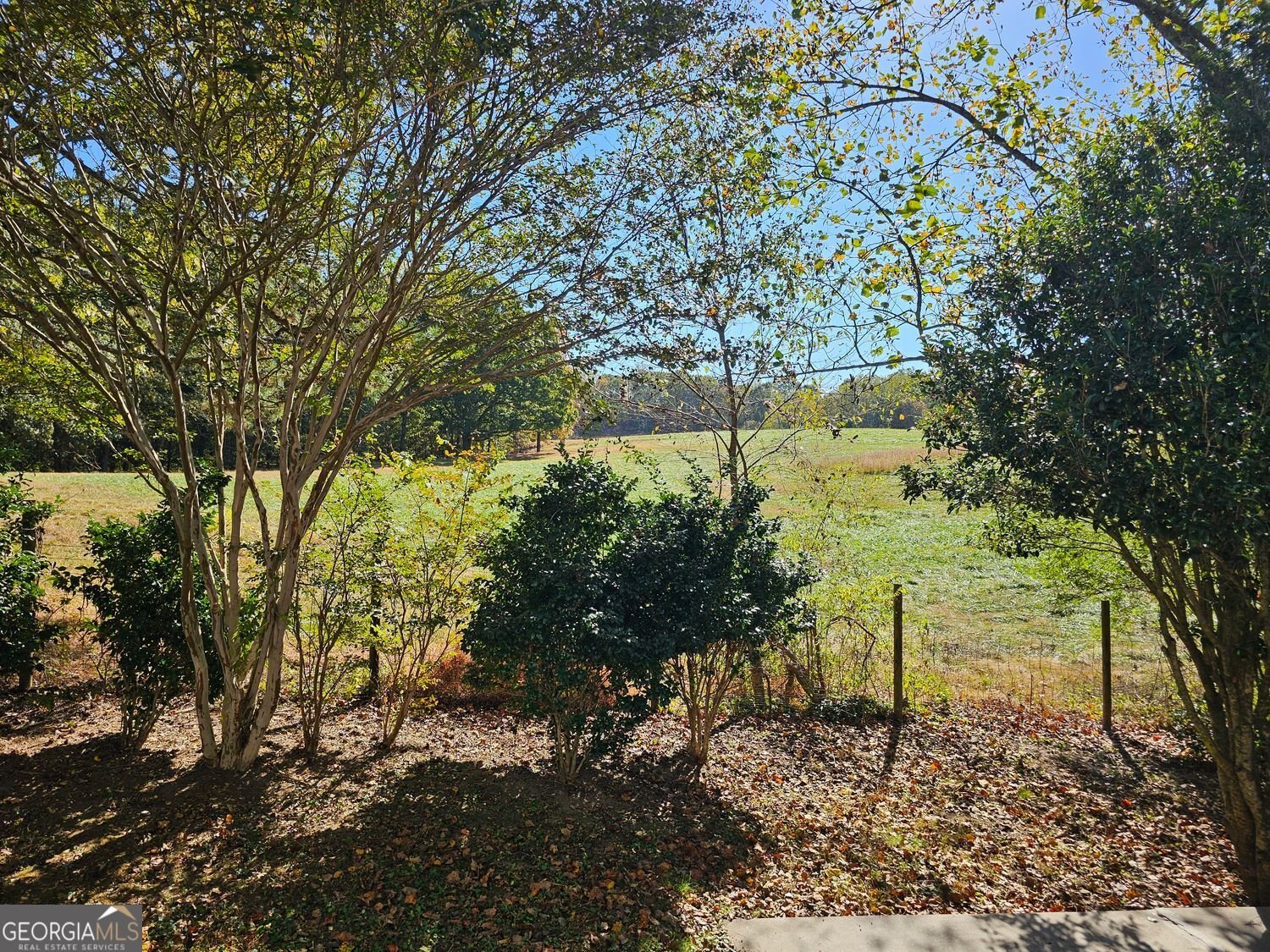 99 Indian Cove Drive Dawsonville - 41