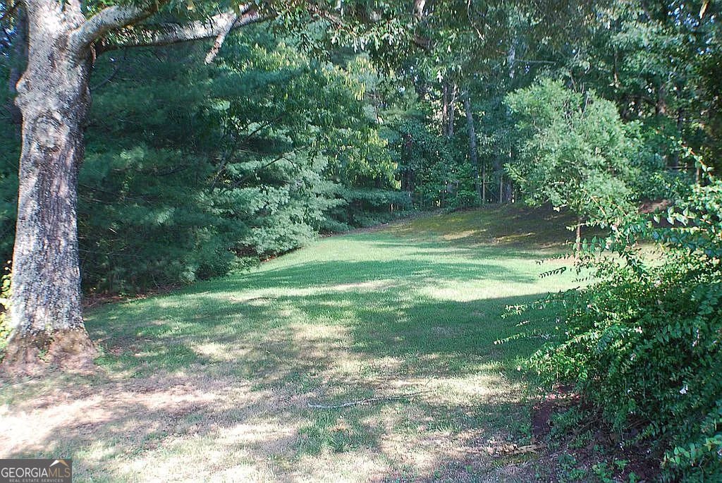 99 Indian Cove Drive Dawsonville - 5