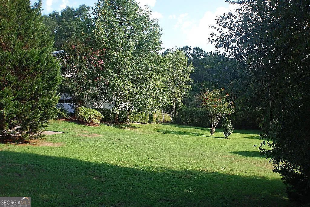 99 Indian Cove Drive Dawsonville - 6