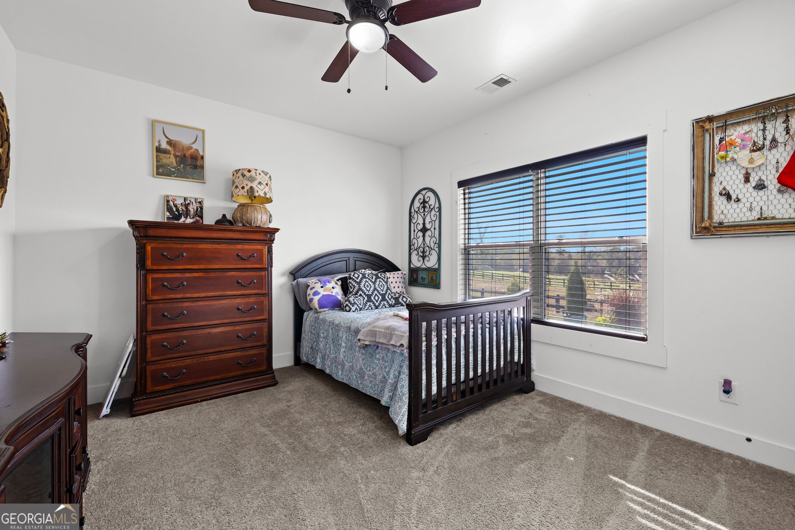 158 Conner Lane Williamson - 30