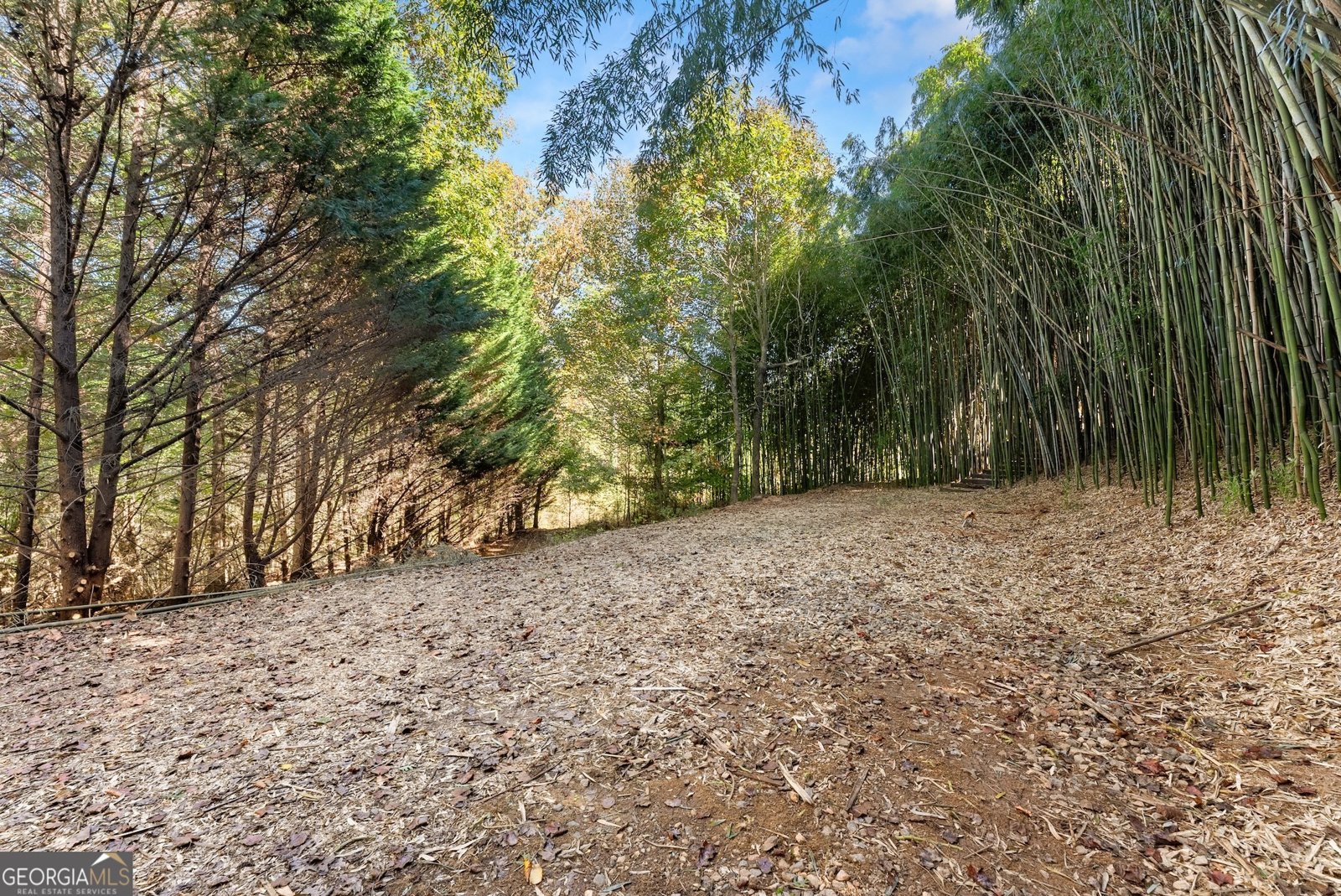 5834 Old Dahlonega Highway Murrayville - 62