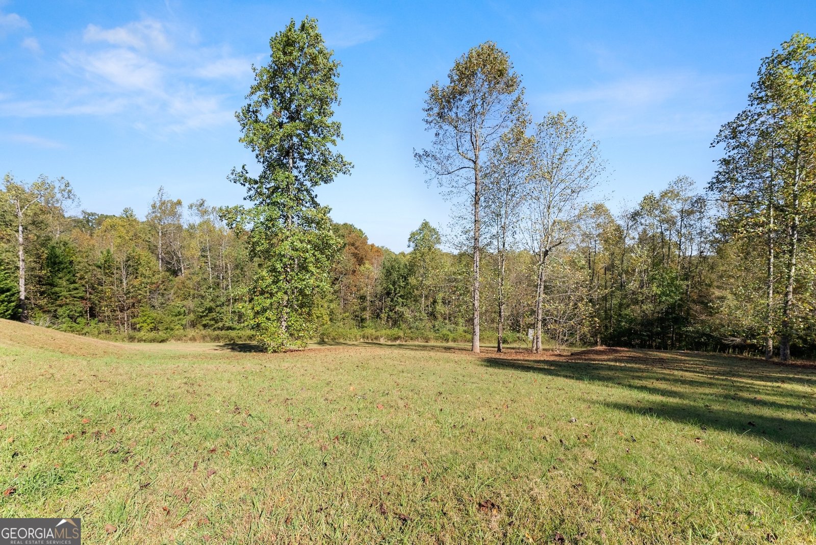 5834 Old Dahlonega Highway Murrayville - 64