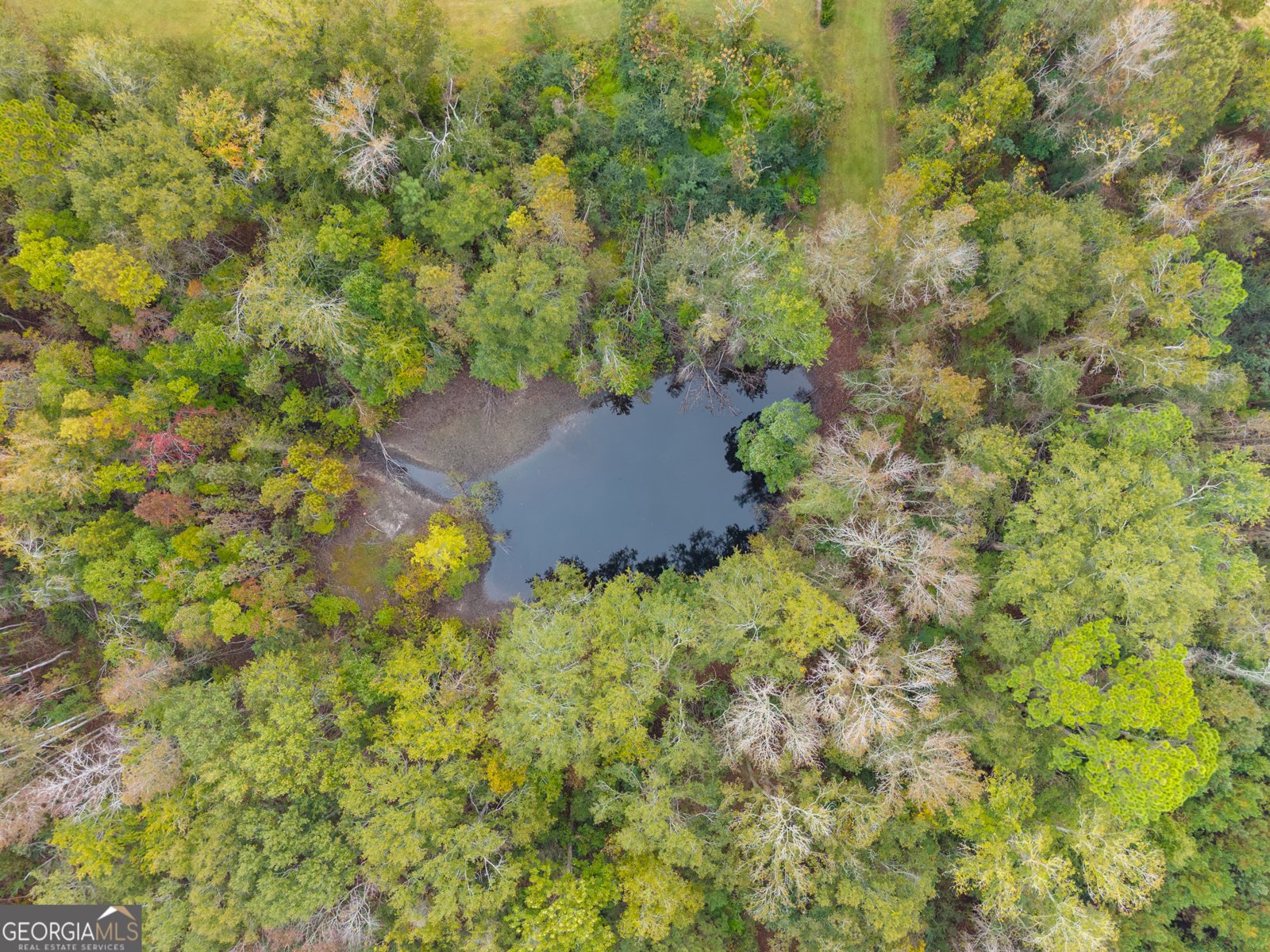 893 Lane Street Brooklet - 54