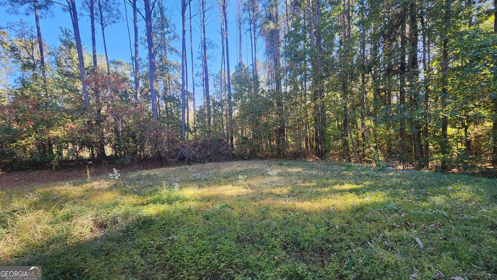 715 Earl North Road Newnan - 19