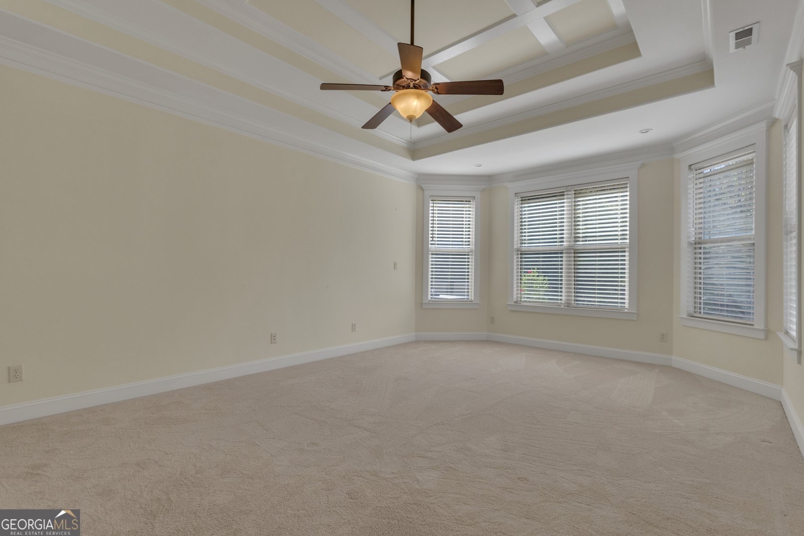 118 Fire Creek Trail Senoia - 24