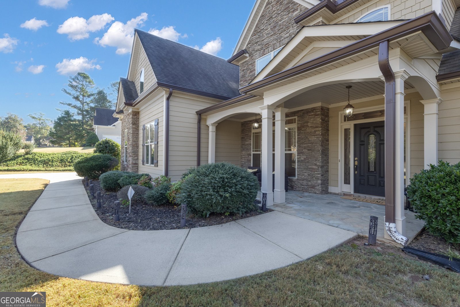 118 Fire Creek Trail Senoia - 4