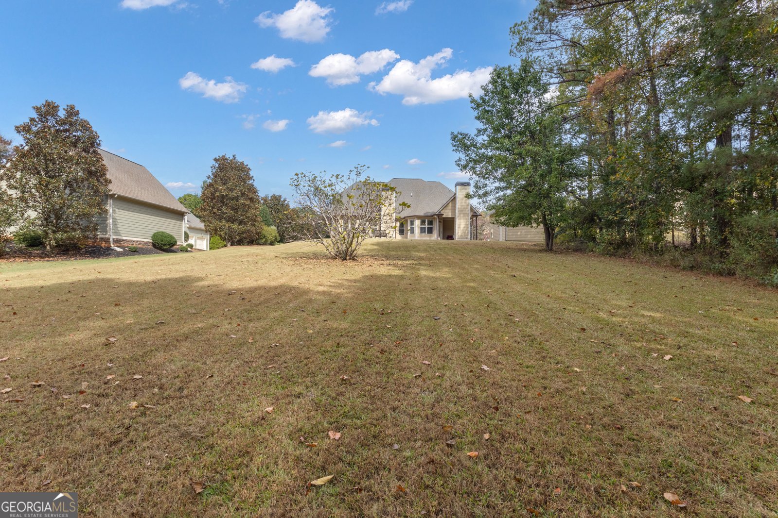 118 Fire Creek Trail Senoia - 44