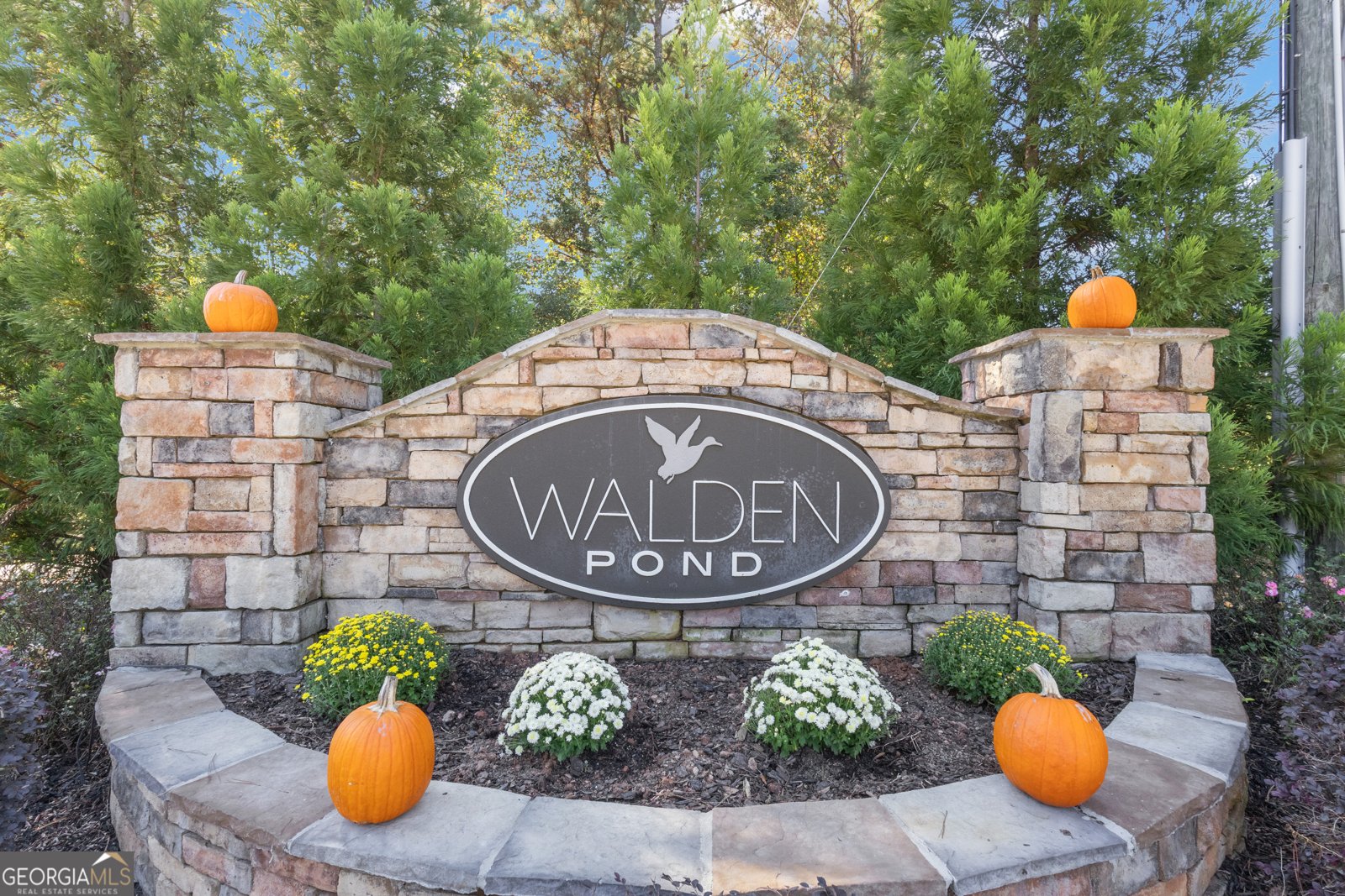 118 Fire Creek Trail Senoia - 45